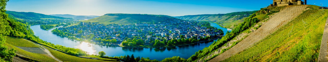 Fototapeta premium Moseltal - Germany