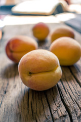 Photo of apricots.