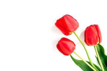 Red tulips  isolated on white background.