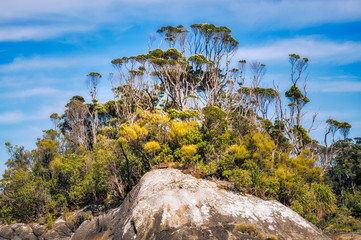 Close up to a small rocky island at Doubtful Sound in Fiordland National Park, New Zealand.