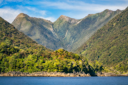 Rainforest and mountain range at Doubtful Sound