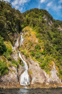 'The water of life' spring at Doubtful Sound in Fiordland National Park, New Zealand, South Island