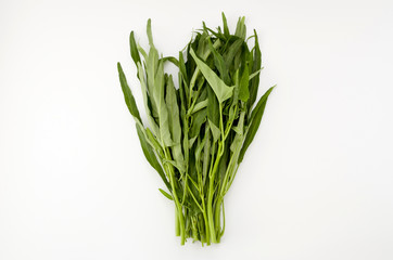 空心菜（クウシンサイ）