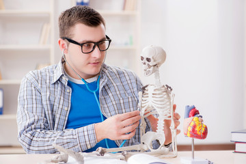 Medical student studying skeleton in classroom during lecture