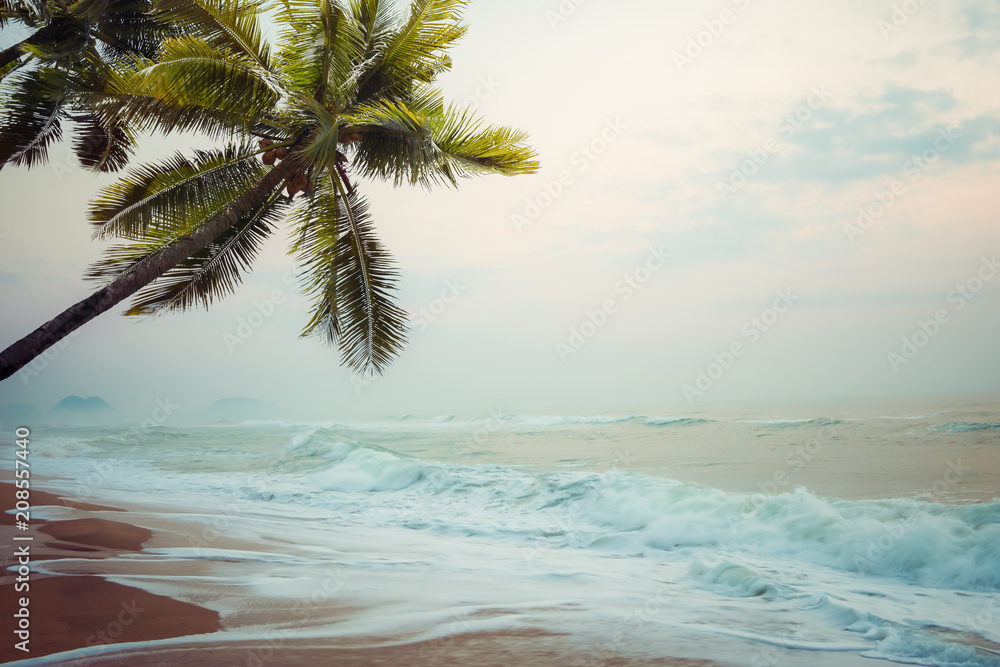 Wall mural Seascape with wave foam and palm tree at tropical beach background in vintage nature style.