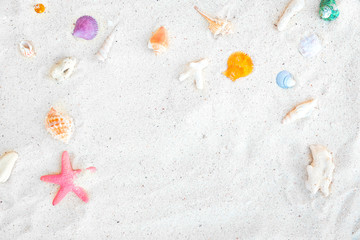 Beach background - top view of beach sand with shells and starfish. summer background concept.