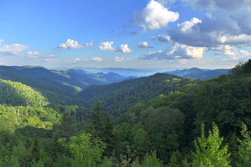 Widok na Smoky Mountains - 208560622