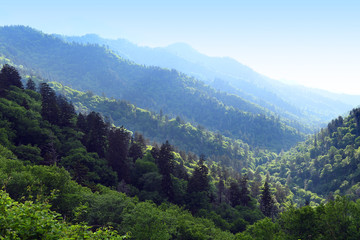 Fototapeta na wymiar Late Afternoon View of the Smoky Mountains
