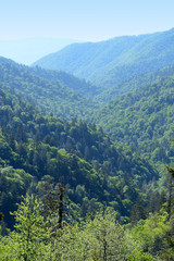 Smokey Mountains Near Gatlinburg Tennessee