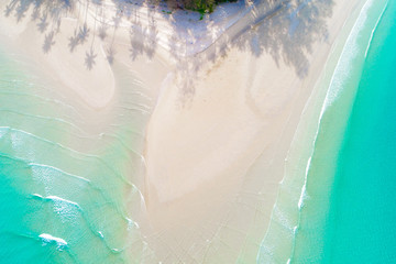 Aerial photo nature landscape of idyllic white sand beach with coconut tree
