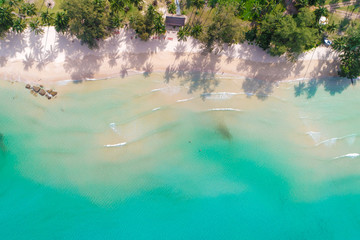 Aerial photo nature landscape of idyllic white sand beach with coconut tree - obrazy, fototapety, plakaty