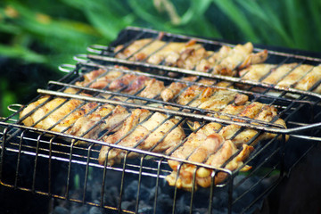 Barbecue on the grill, meat food