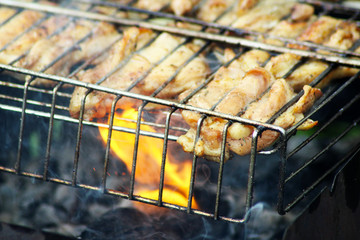 Barbecue on the grill, meat food