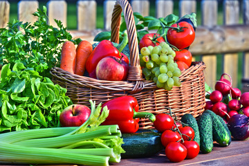 Variety of fresh organic vegetables in wicker basket