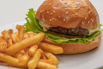 Hamburger with meat, tomato, lettuce and french fries.