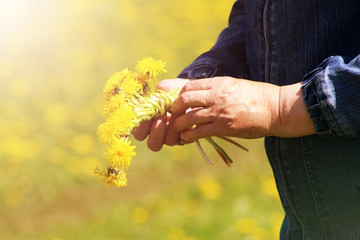 The process of weaving a wreath. Female hands weave a wreath of yellow dandelions.