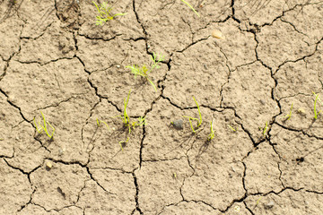 dry soil cracked earth texture