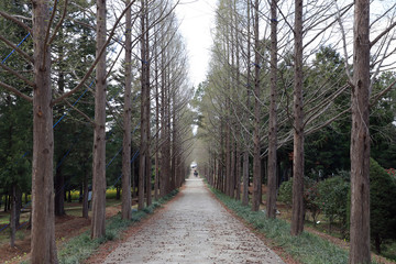 공원 길 publicpark pathway