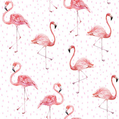 Flamingo on the white background. Watercolor hand painted seamless pattern. Tropical illustration. Jungle foliage.