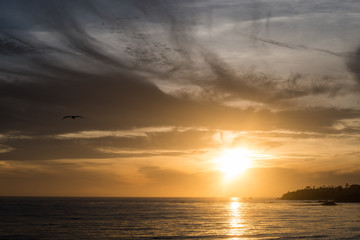 Naklejka premium West Coast Sunset Scene