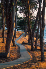 Winding Path Leading to the Ocean