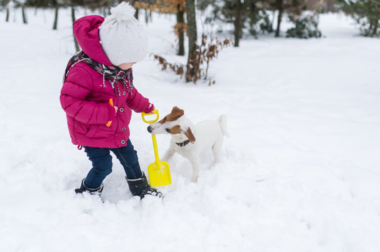 Happy little girl playing with  jack russell terrier dog in snow
