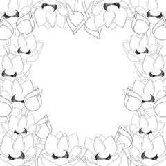 Nelumbo nucifera - Indian lotus Outline Border, sacred lotus, bean of India, Egyptian bean. National flower of India and Vietnam. Vector Illustration. isolated on White Background.