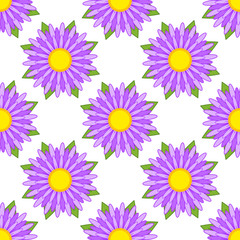 Seamless pattern of striped asters of purple with green leaves on a white background