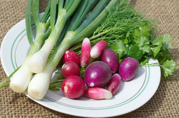 Fresh greens and radishes on a plate