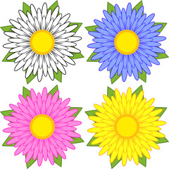 Set of white, blue, pink, yellow flowers on a white background