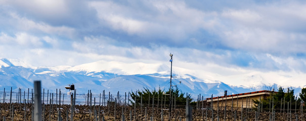 View of the snow-capped peaks of the sierra called Cebollera in &Auml;lava, Spain, with the snow-capped peaks. In the foreground a wine vineyard of La Rioja