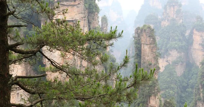 The misty and smoky mountain peaks of Zhangjiajie, Hunan Province, China.
