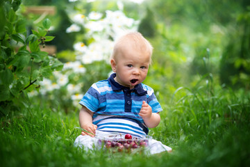 Sweet little child, baby boy, eating cherries in garden, enjoying tasty fruit