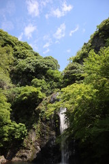 Fototapeta na wymiar 日本　箕面　滝