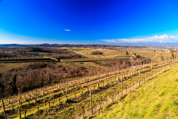 Fototapeta premium Sunset in the vineyards of Collio, Italy