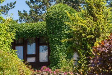 garden house surrounded by green leaves