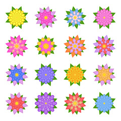 Fototapeta na wymiar A set of beautiful colorful flowers. Isolated on white background. Sixteen variants. Suitable for design.