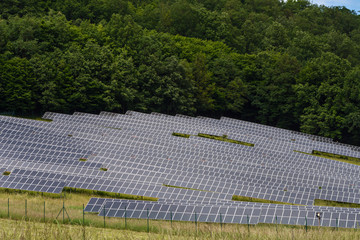 Obraz premium lots of solar collectors and green trees in the background