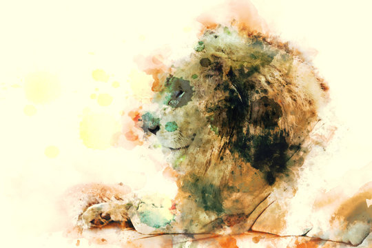 Male lion digital watercolor painting