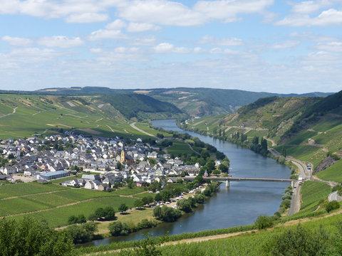 Blick von der Zummeth&ouml;he auf Trittenheim / Mosel