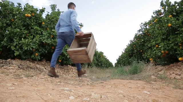 Agricultor