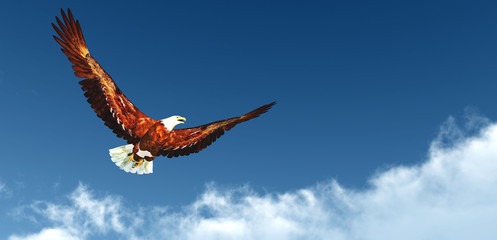 Eagle flying above the clouds