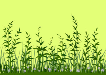 Seamless Horizontal Background, Nature, Landscape with Fresh Green Grass, Leaves and Lilac Flowers on Yellow, Tile Pattern for Your Design. Vector