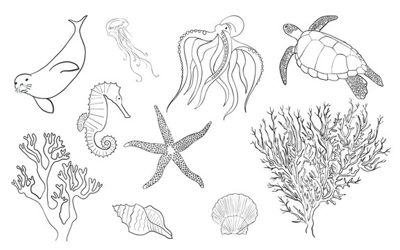 Hand drawn lineart sea life set, vector