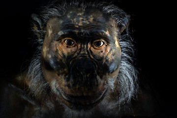 primitive man ape isolated on black © Andrea Izzotti
