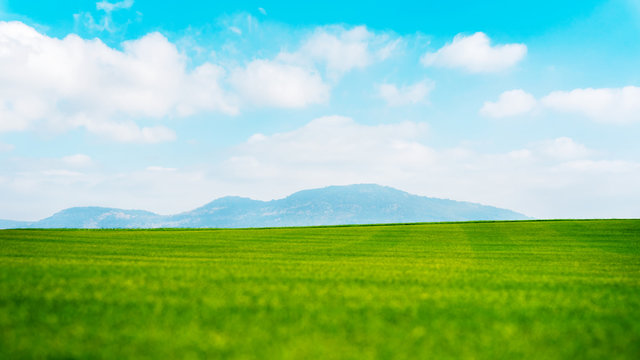 Green field with mountain blue sky Background image  copy space