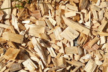 Rindenmulch16DG011.JPG