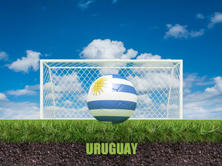Uruguay football  on football or soccer field ,3d