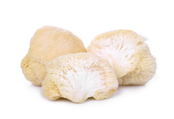 mokey head mushroom , lion mane or yamabushitake isolated on white background