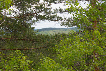 Kalajanvuori - Southern Konnevesi National Park